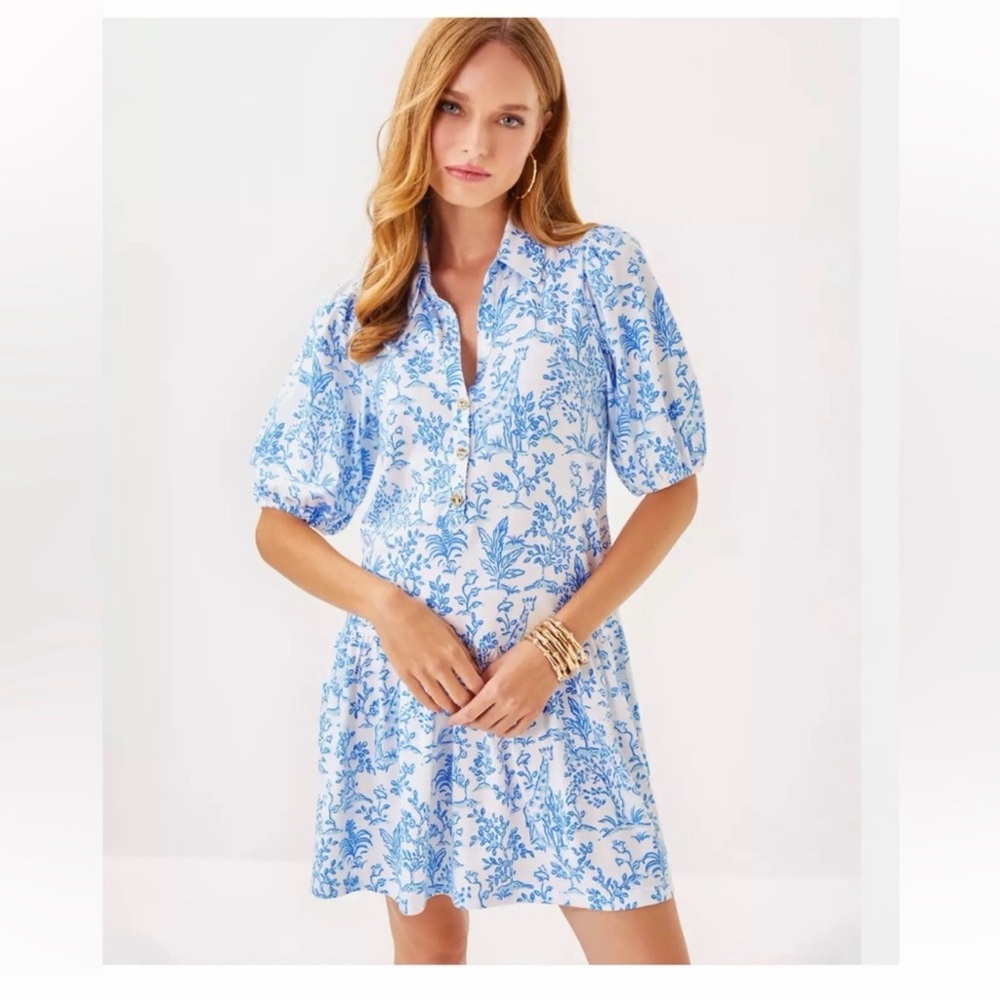 Nwt Lilly Pulitzer Blue and White Floral Bingley Dress size large